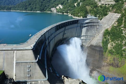 arándanos y aguacates.jpg arándanos y aguacates.jpg